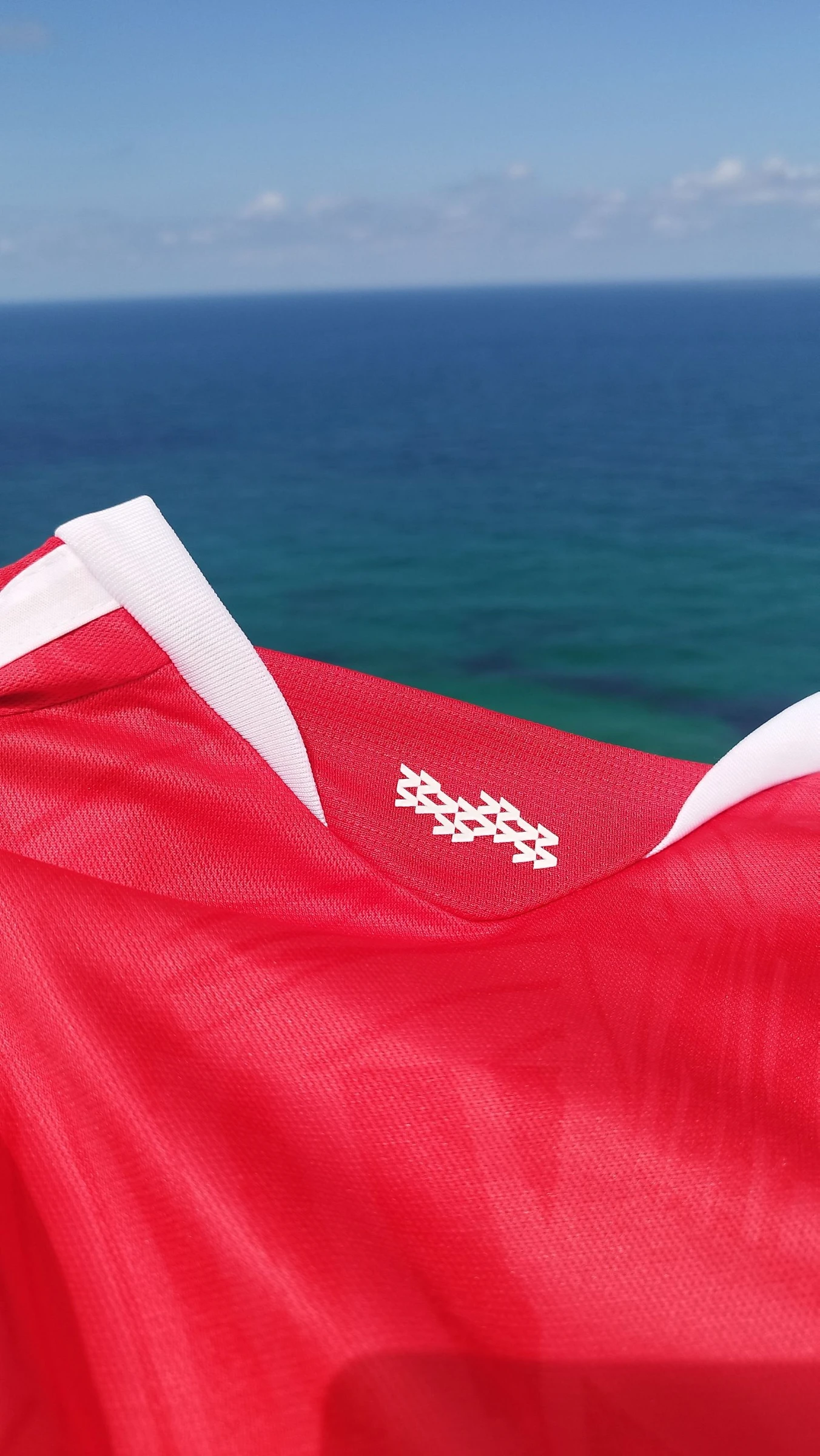 Benfica 26 Jersey – photo 3